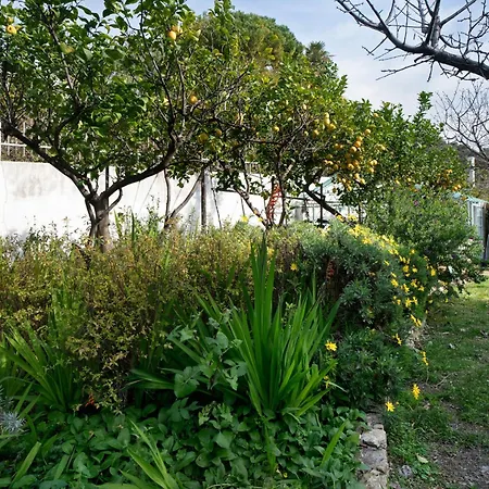 Villa Casa Piccola